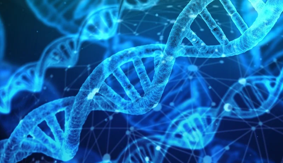 微信截图 20211209143708